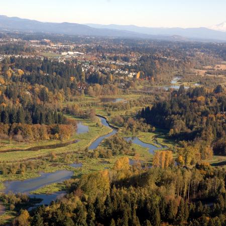 Conservation Collaboratives